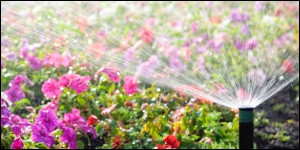 Full Service Irrigation - Sprinkler System